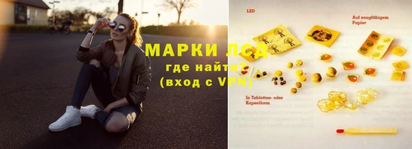 ГАЛЛЮЦИНОГЕННЫЕ ГРИБЫ Белокуриха