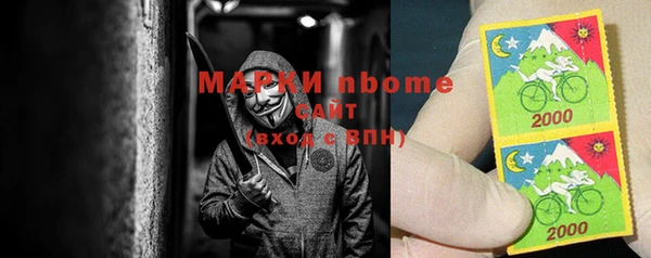 ГАЛЛЮЦИНОГЕННЫЕ ГРИБЫ Белокуриха
